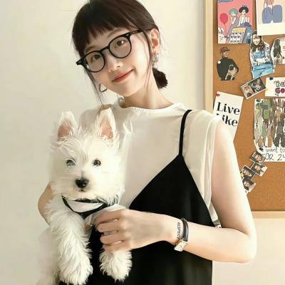 《海上钢琴师》电影封面